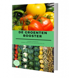 ebook groentebooster